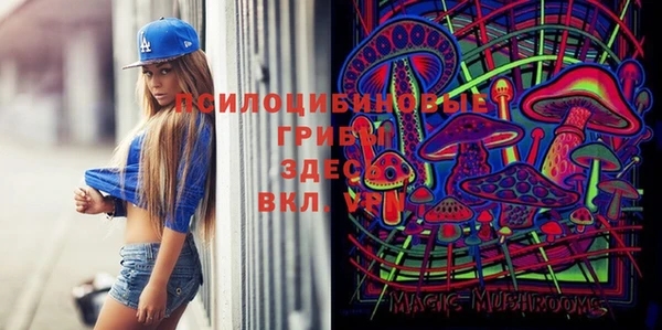 мет Аркадак