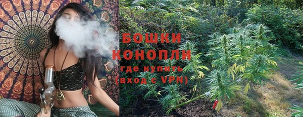 шишки Ельня
