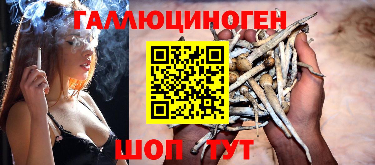 Псилоцибиновые грибы прущие грибы Крымск