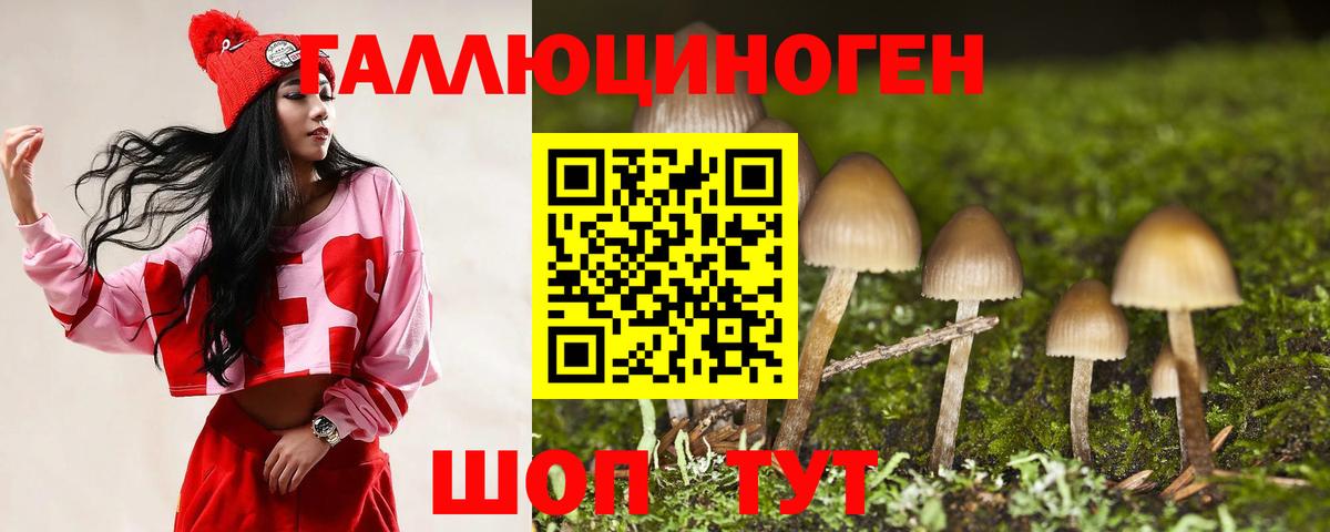 Крымск  Галлюциногенные грибы Psilocybe  Вход с VPN 